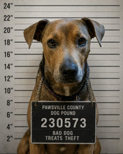 Pet Swag Custom T-shirt + Tote Bundle
